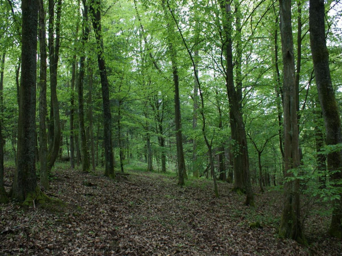 L'Ermitage Du Rebberg Villa Urmatt Esterno foto
