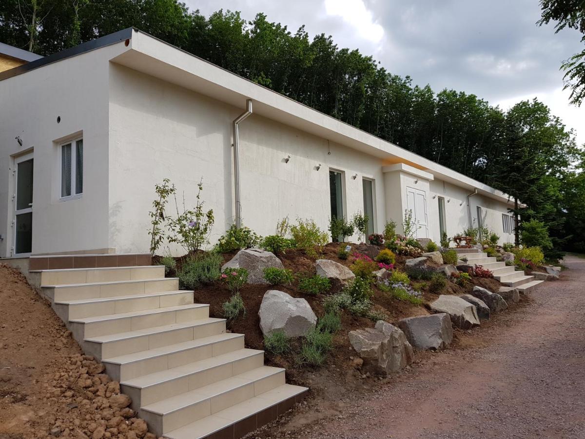 L'Ermitage Du Rebberg Villa Urmatt Esterno foto